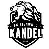 FC Bienwald Kandel
